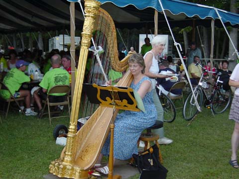 Melodic harp music to go with eating peanuts