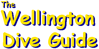 The Wellington Dive Guide